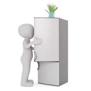 A Refrigerator owner