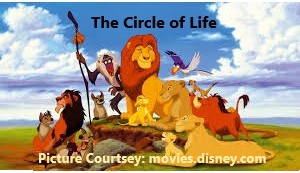 The Circle of Life cycle in Lion King