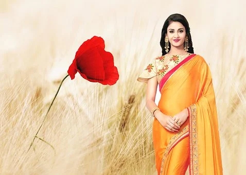 A beautiful saree that make a woman look elegant
