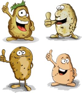 Potato is one of the most liked vegetable